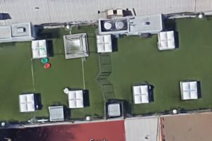 ARTIFICIAL GRASS FOR DOGS - WAG PET HOTEL - SAN FRANCISCO CALIFORNIA - ROOFTOP ARTIFICIAL TURF