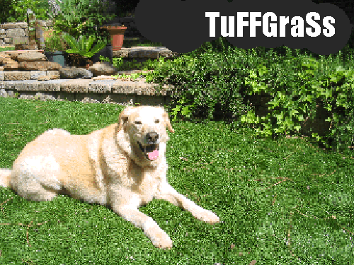 TuFFGrass Artificial Grass For Dogs