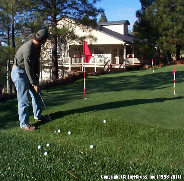 ARTIFICIAL GRASS PUTTING GREEN - PITCH AND PUTT