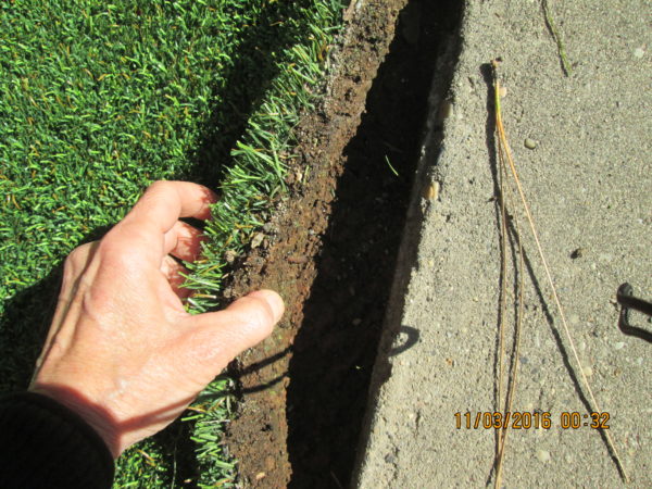 Artificial grass edge that has collected soil, small rocks, weeds