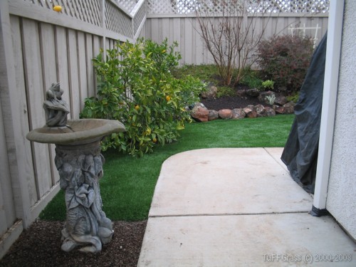 Artificial Grass Approved by Sun City HOA in Lincoln Hills and Roseville CA 03