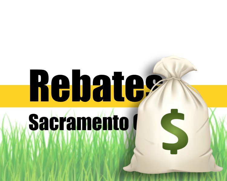 cash-for-grass-sacramento-artificial-grass-rebates-are-back-2021