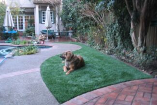 Our customers' pups savor the security, softness, and longevity of their TuFFGrass artificial grass outdoor spaces.