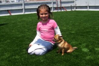 TuFFGrass artificial grass installations are safe for kids and pets! The WAG Pet Hotel in San Francisco has an entire roof dedicated to their dog day care free play time - covered in TuFFGrass!
