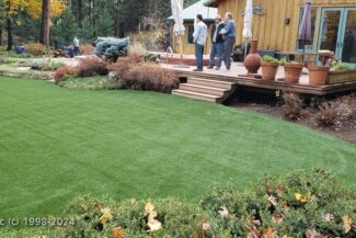 A photo of an artificial grass installation of a huge lawn for a very active dog in Nevada City CA