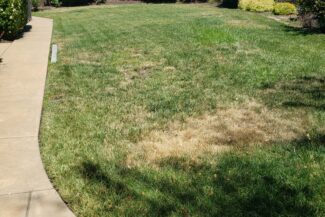 A photo of the Granite Bay yard before the installation of artificial grass lawn, fringe, and putting green.