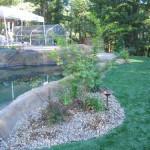 An evergreen artificial grass lawn installed at the edge of a faux rock facing pool and garden in Nevada City California.